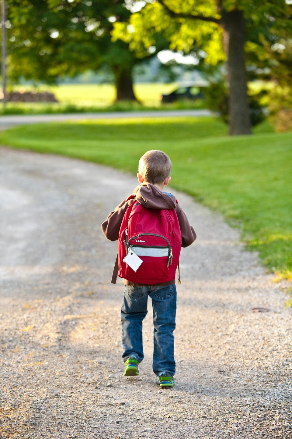 Meu filho vai para a escola, e agora?